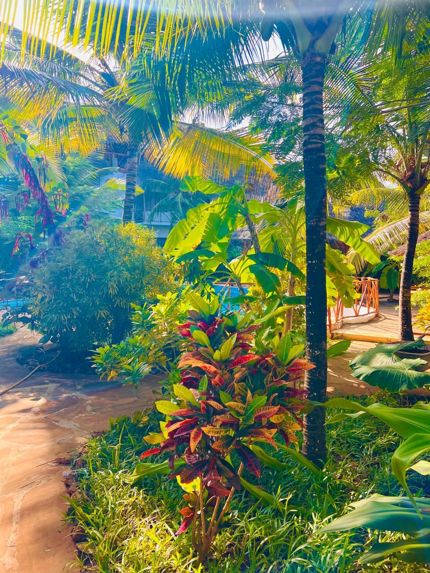Tropical Nungwi Hotel Ngoại thất bức ảnh