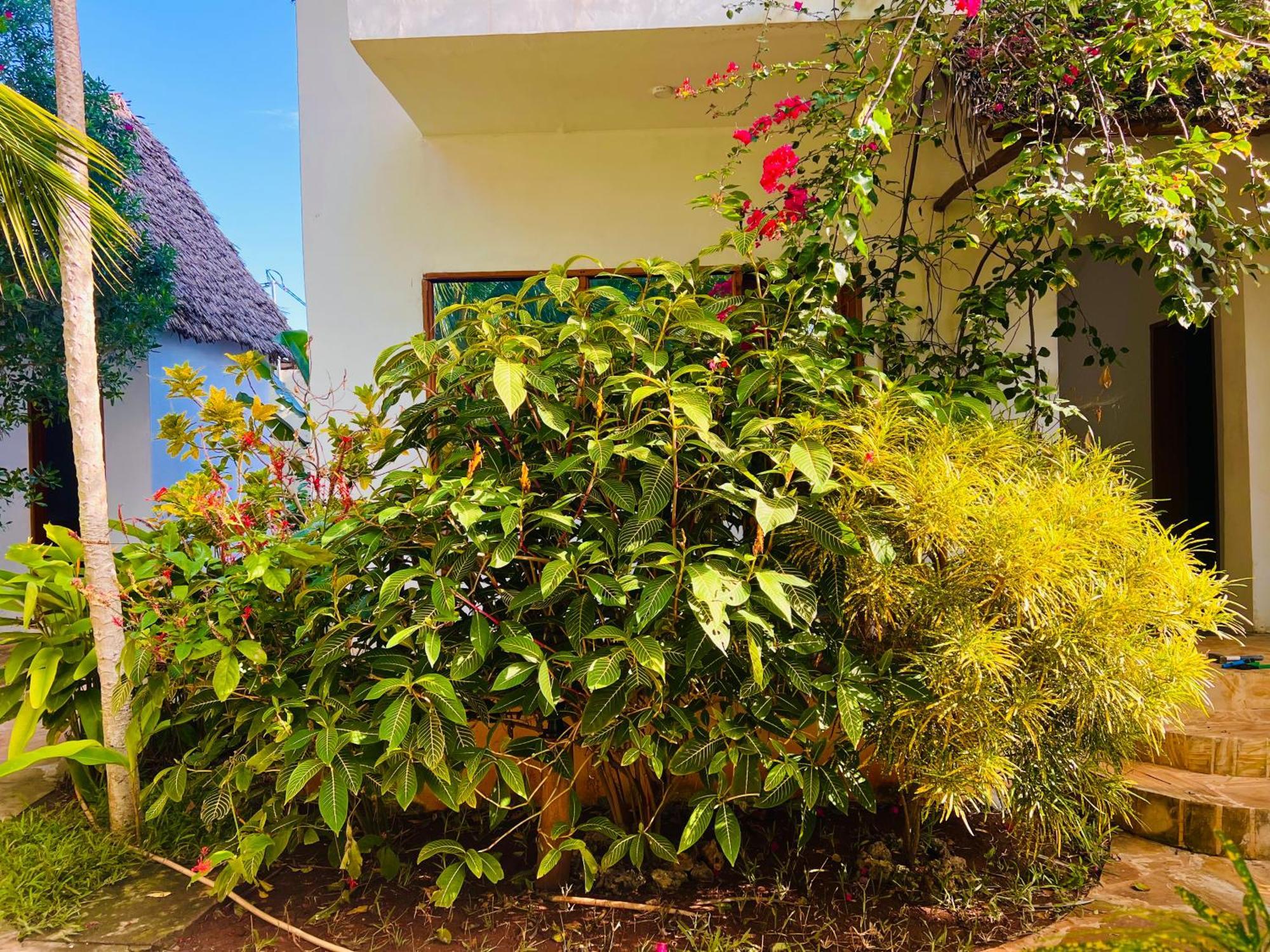 Tropical Nungwi Hotel Ngoại thất bức ảnh