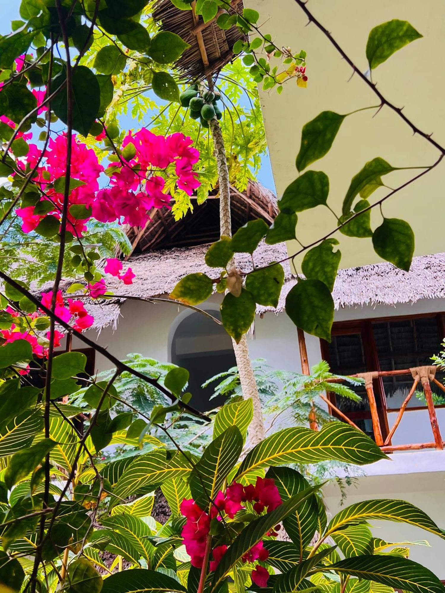 Tropical Nungwi Hotel Ngoại thất bức ảnh
