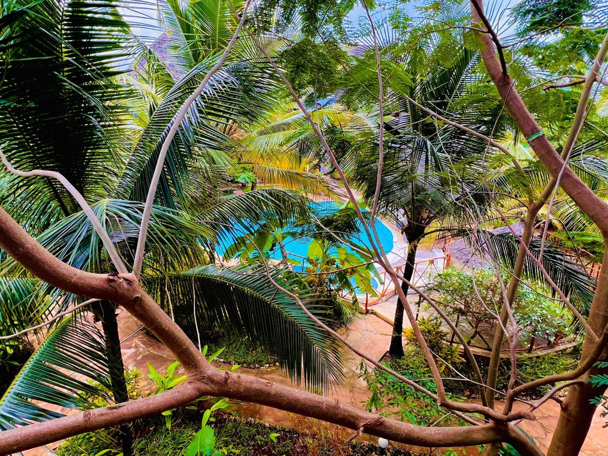 Tropical Nungwi Hotel Ngoại thất bức ảnh