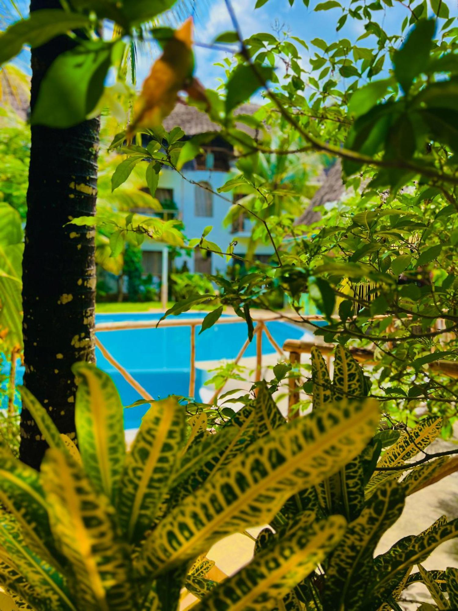 Tropical Nungwi Hotel Ngoại thất bức ảnh