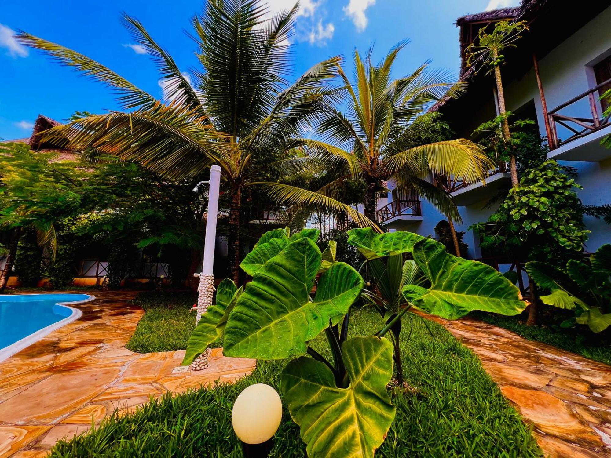 Tropical Nungwi Hotel Ngoại thất bức ảnh
