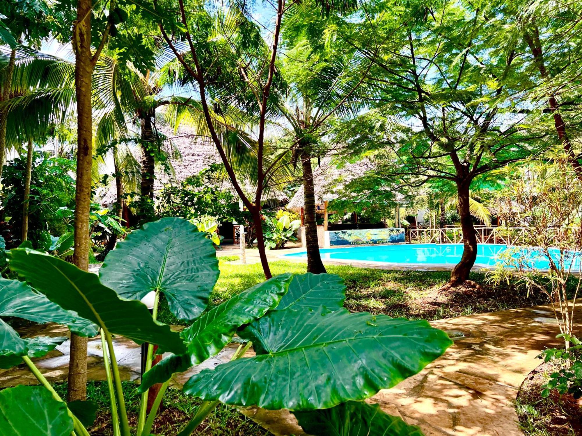 Tropical Nungwi Hotel Ngoại thất bức ảnh